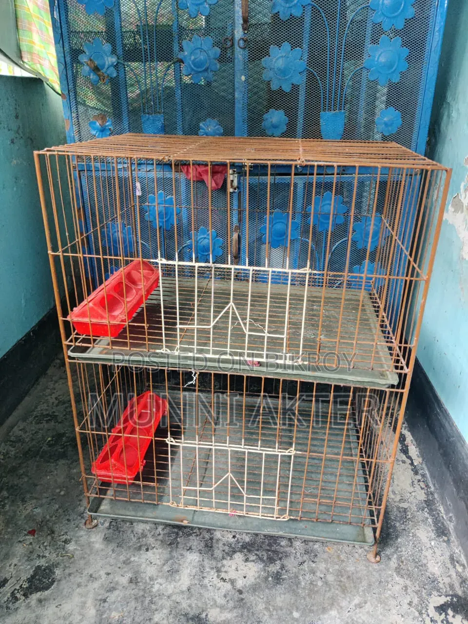 Bird or chicken cage