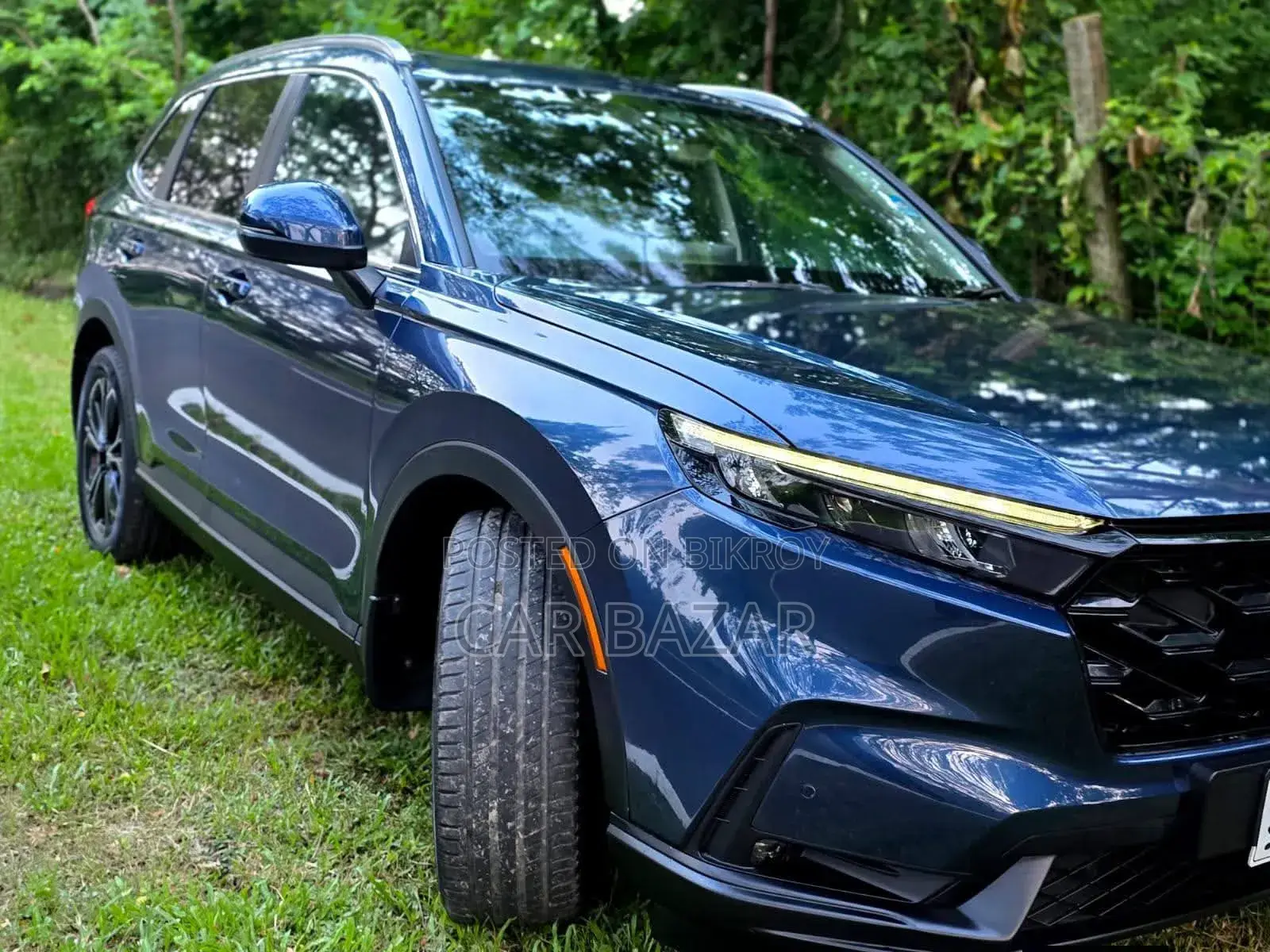 Honda CR-V EX AWD 2024 Blue
