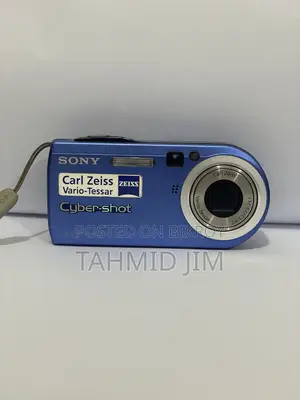 Sony Digital Camera P100