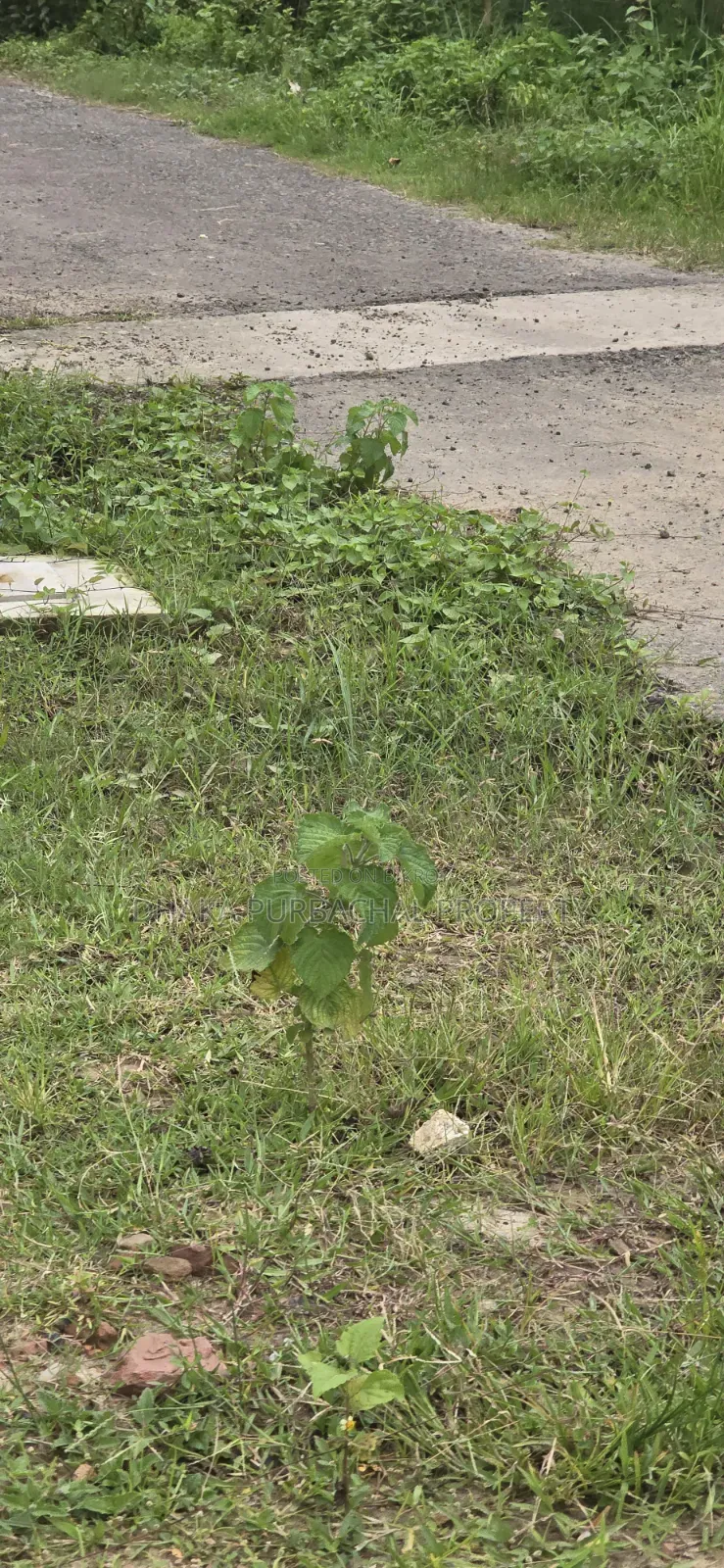 RAJUK Purbachal 10 Katha South-facing plot for sale
