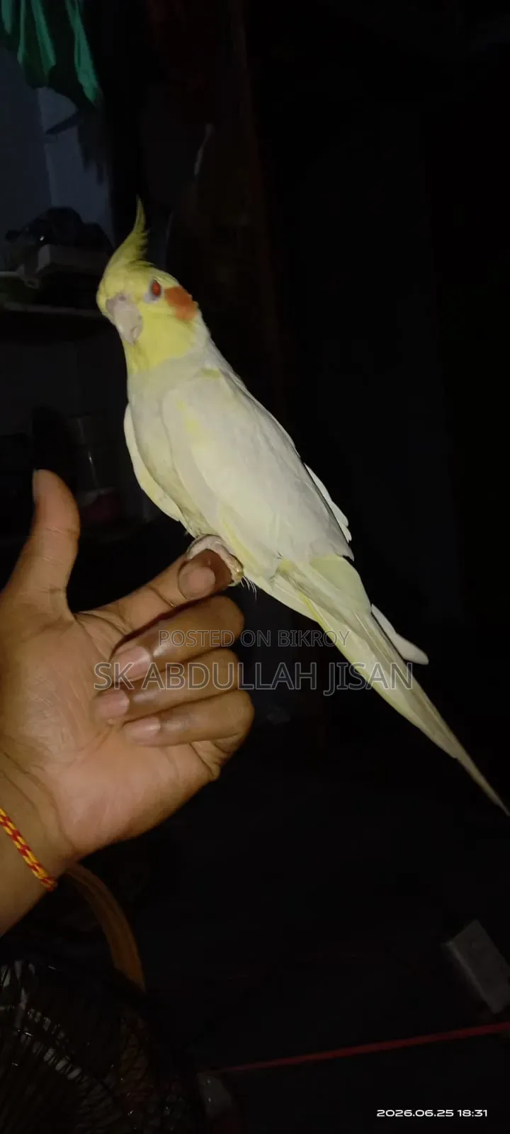 এক পিছ ফুল টেম ককাটেল বিক্রি হবে