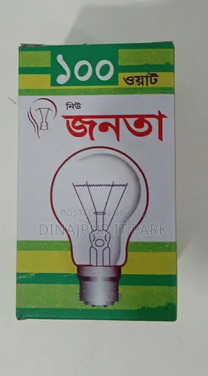 Janata 100W Clear Incandescent Bulb – B22 Pin Base