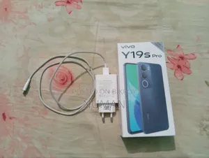 Vivo Original Charger