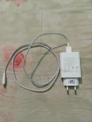 Vivo Original Charger