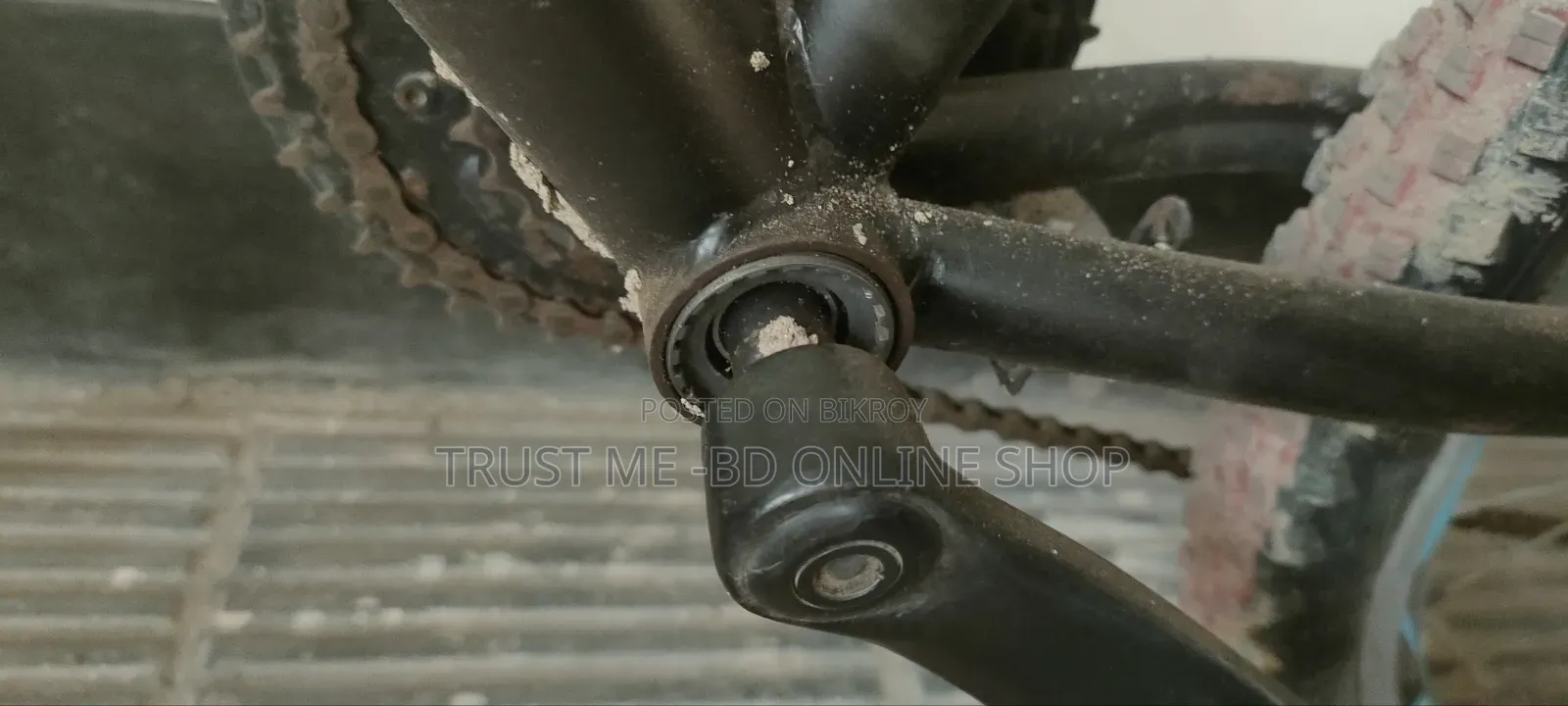 New Fresh Bicycle