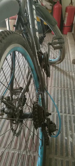 New Fresh Bicycle