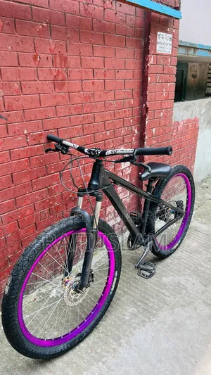 Boarse Cycle