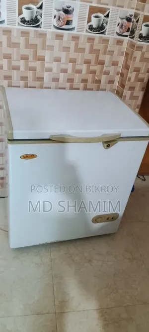 Singer Deep Fridge.