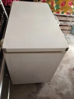 Singer Fridge