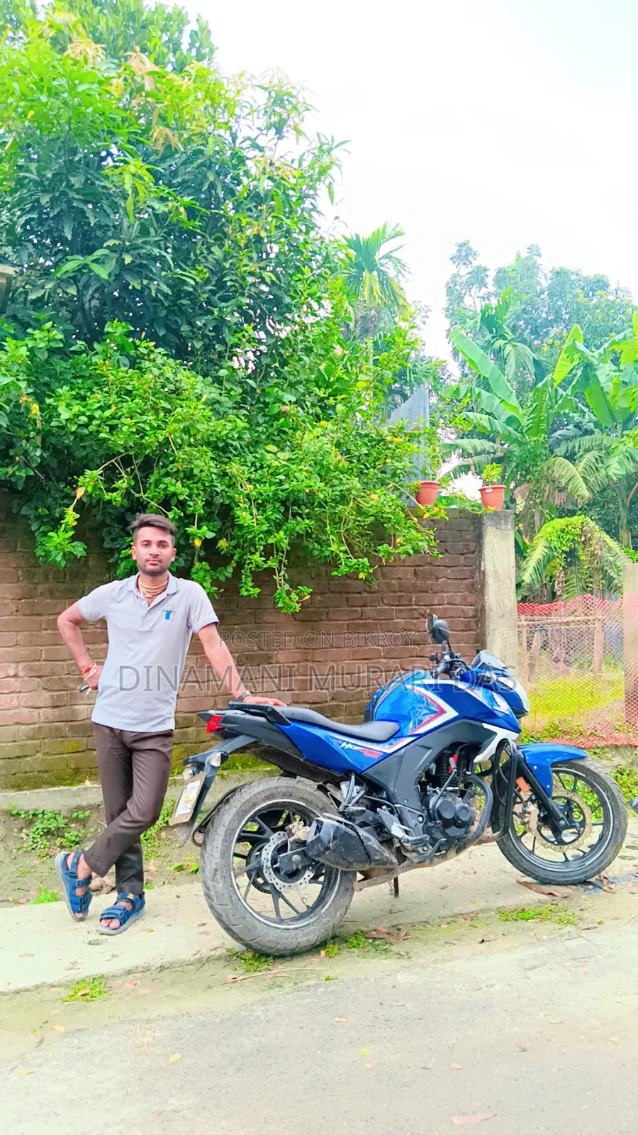Honda Hornet 2018 Blue