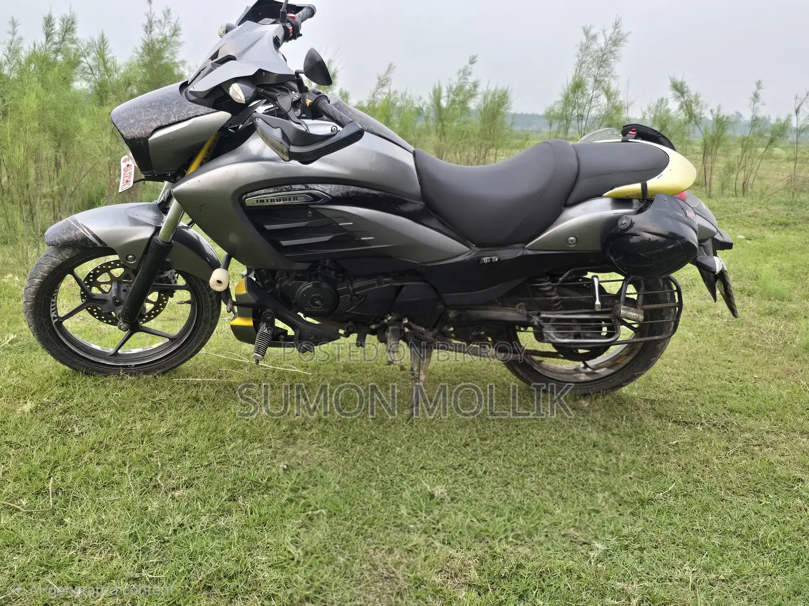 Suzuki Intruder 2016 Gray