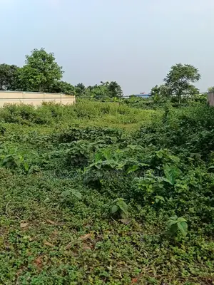 Sector-17, East Facing 3 Katha Plot Sale