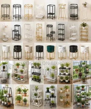 Plants of various prices, 1 for 500 Taka, Metal stand | Full set for sale Garden