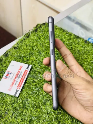 Samsung Galaxy S21 FE 5G 256 GB Gray