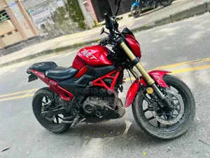 Runner Bolt 165R 2020 Red