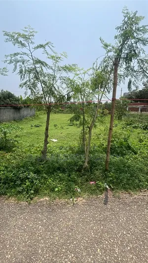 Sector-26, South/West Corner 3 Katha