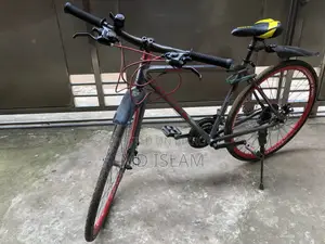 Comet Bicycle