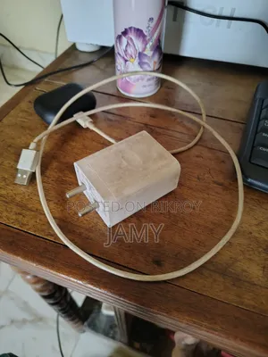 রিয়েলমি ১০ চার্জার ৩৩ ওয়াট