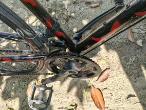 Racing Cycle