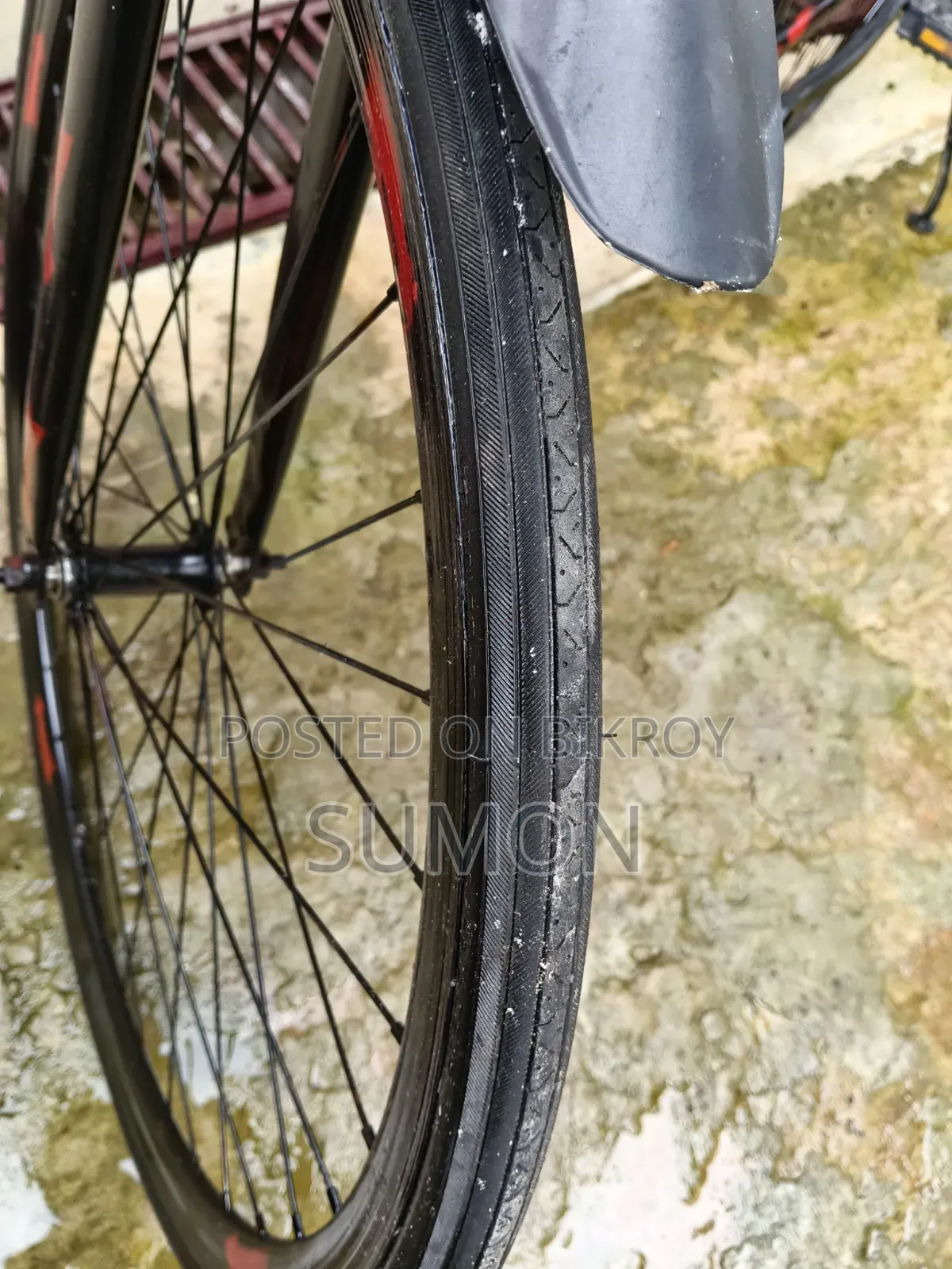 Racing Cycle