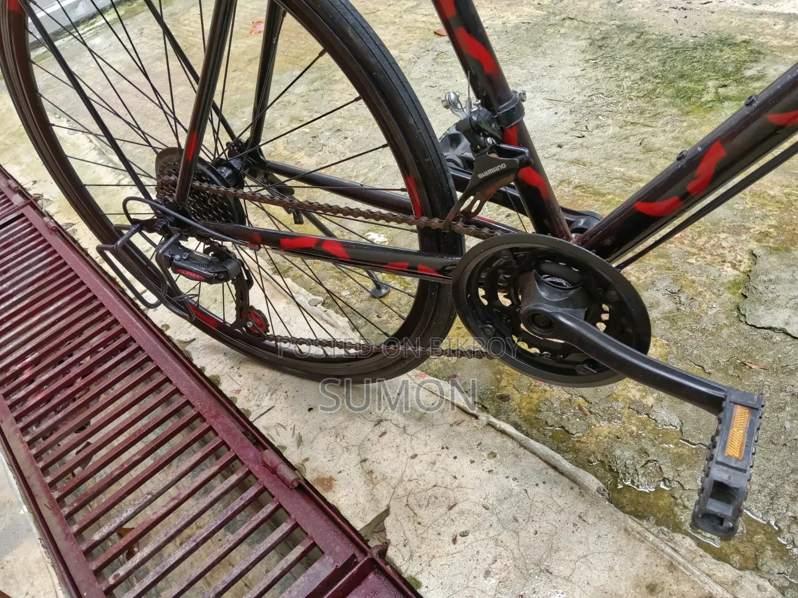 Racing Cycle
