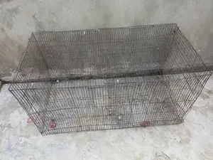 Cockatiel Bird Cage