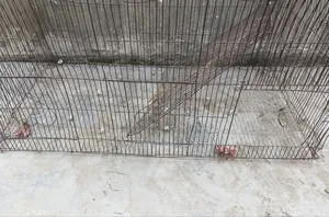 Cockatiel Bird Cage