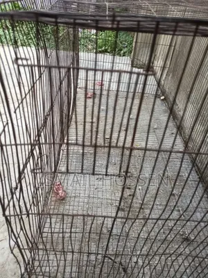 Cockatiel Bird Cage