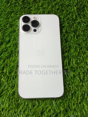 অ্যাপল আইফোন ১৫ প্রো ম্যাক্স ২৫৬ জিবি সিলভার