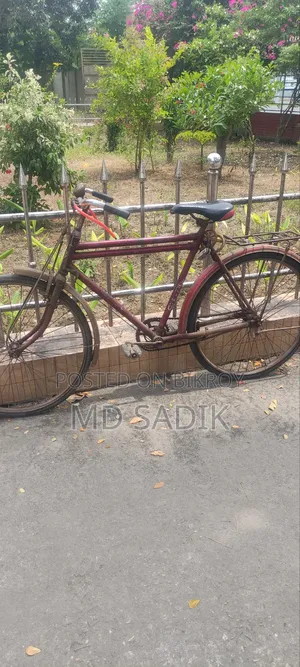 Indian Original "Hero" Bicycle