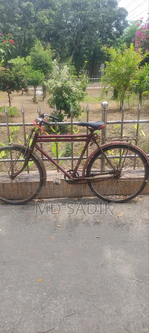 Indian Original "Hero" Bicycle
