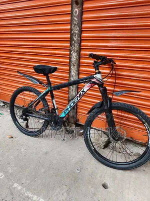 Phoenix 24inch Gear Cycle