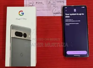 Google Pixel 7 Pro 128 GB Gray