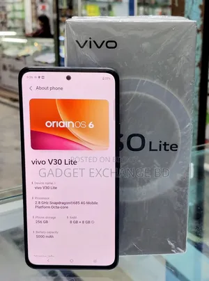 Vivo V30 Lite 256 GB