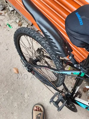Phoenix 26 Inch Gear Cycle