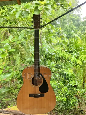 গীটার বিক্রি করা হবে।