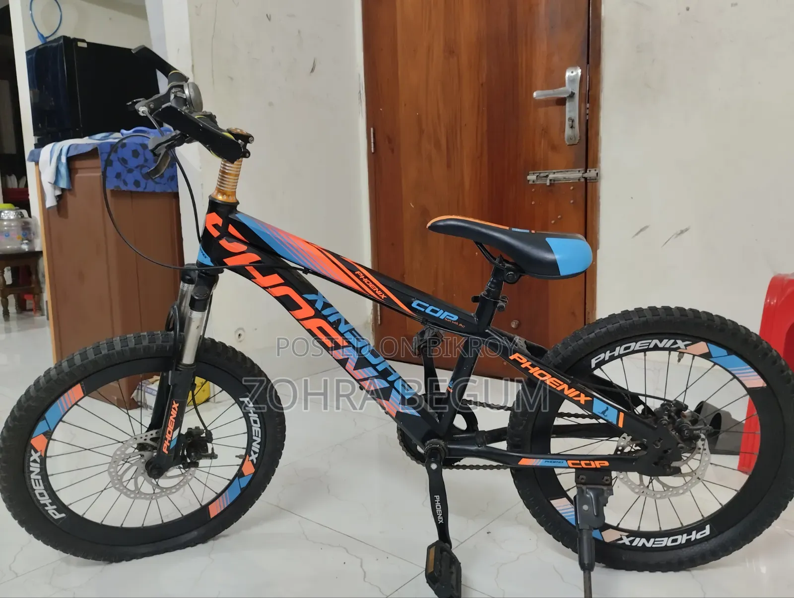 Phoenix Disk Brake Cycle