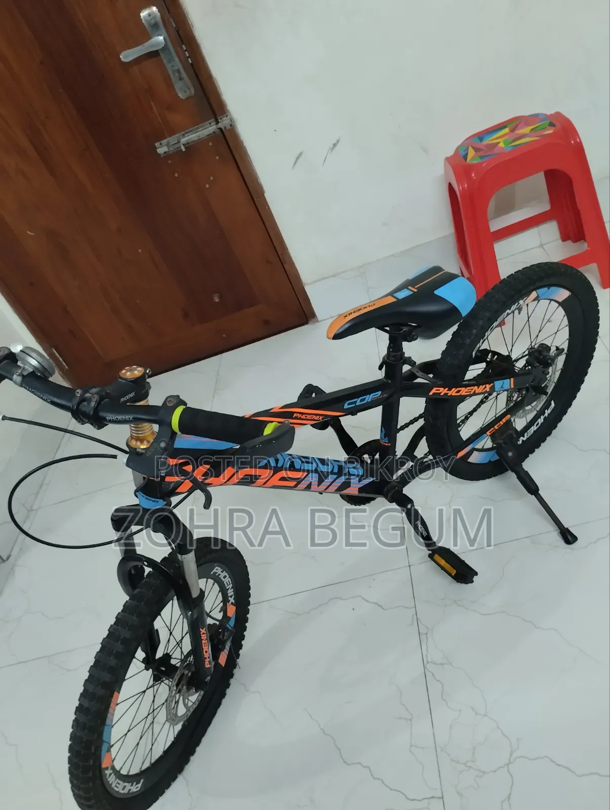 Phoenix Disk Brake Cycle