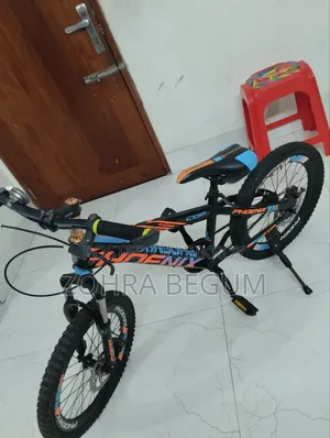 Phoenix Disk Brake Cycle