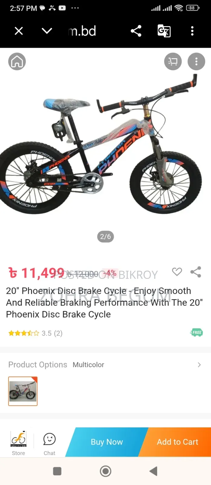 Phoenix Disk Brake Cycle