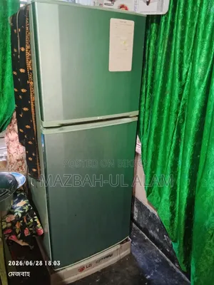 ফ্রিজ Lg, Mini