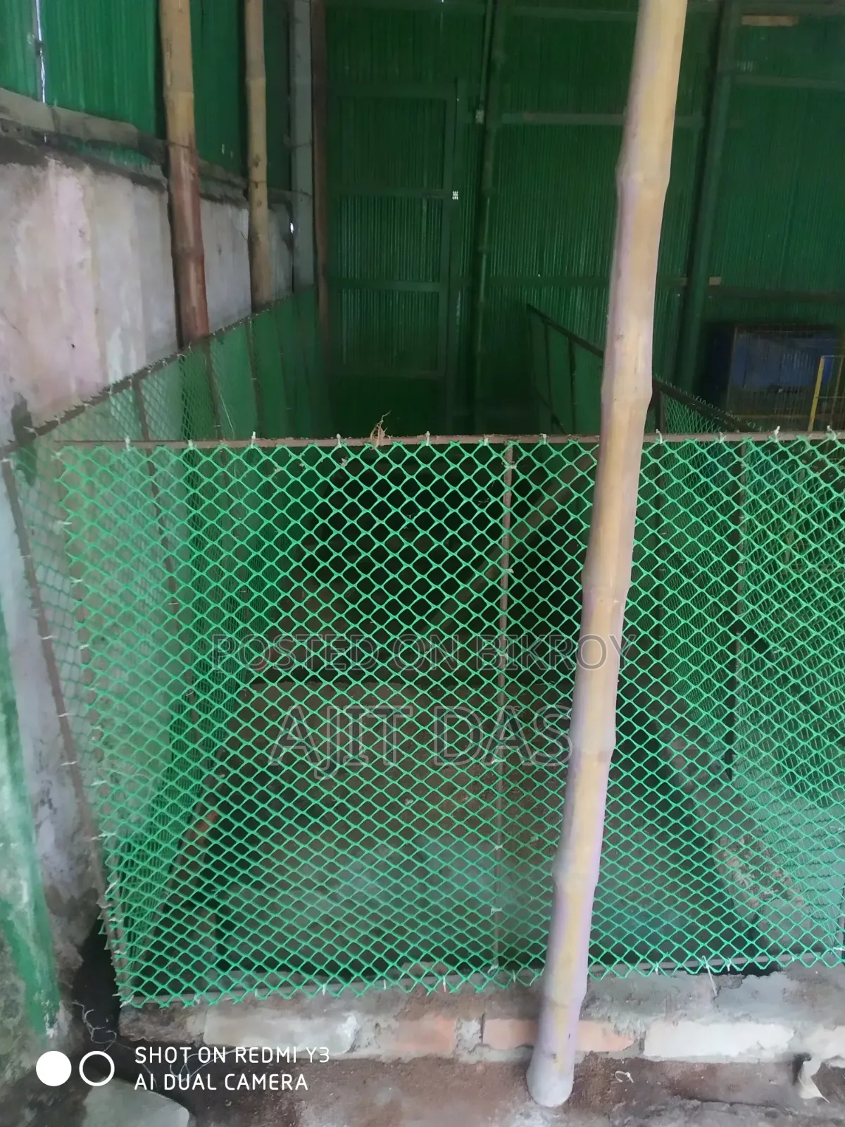 Portable Cage