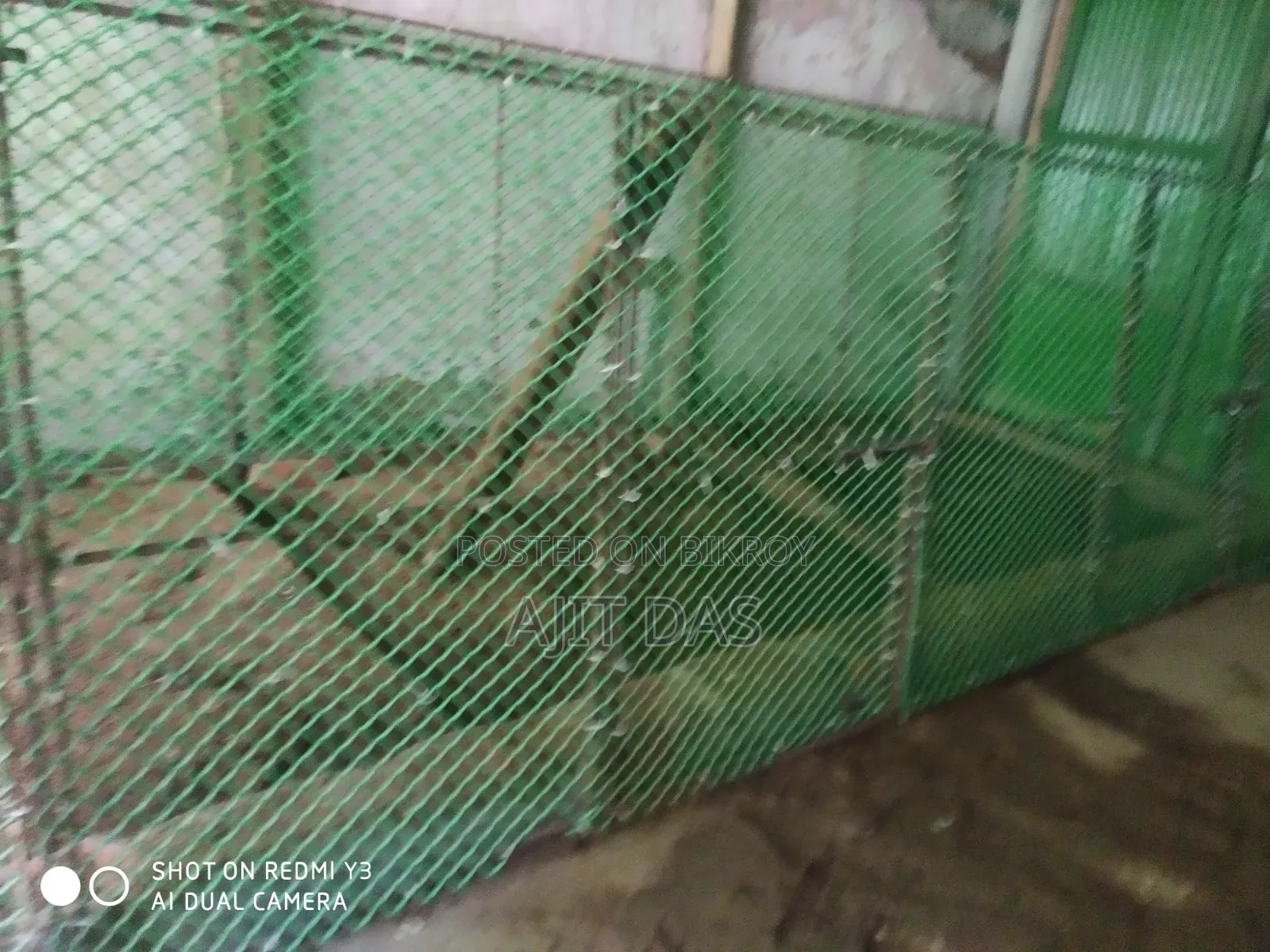 Portable Cage