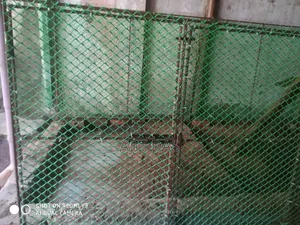 Portable Cage