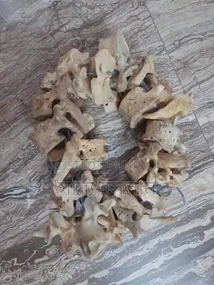 Fresh Bones