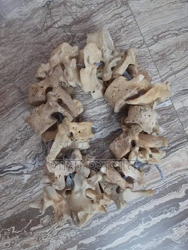 Fresh Bones