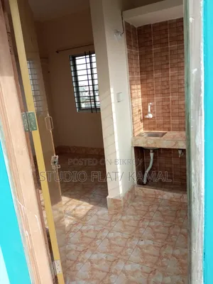 মিরপুরে ছাদে লাক্সারি স্টুডিও অ্যাপার্টমেন্ট ভাড়ার জন্য