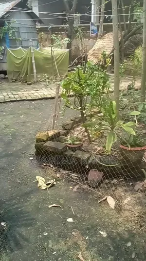 বসতবাড়ির জমি বিক্রয় হইবে।