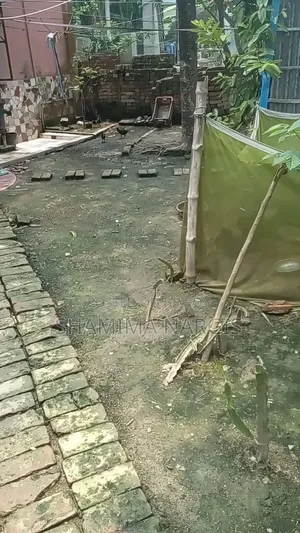 বসতবাড়ির জমি বিক্রয় হইবে।