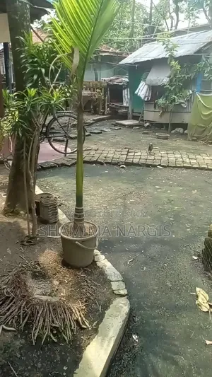 বসতবাড়ির জমি বিক্রয় হইবে।